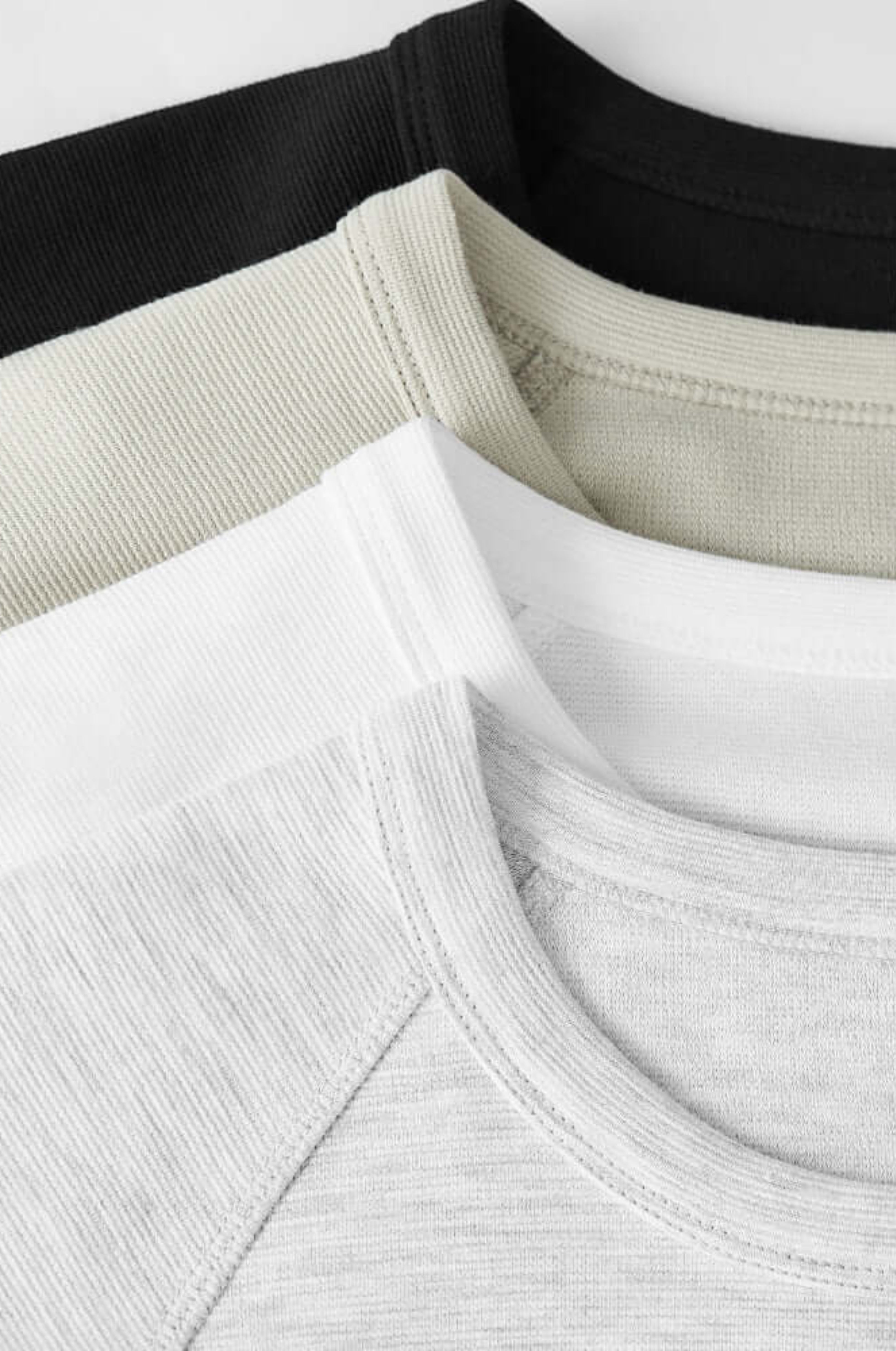 MAGLIETTA BASIC OLD MONEY